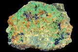 Sparkling Azurite and Malachite Crystal Cluster - Morocco #74386-1